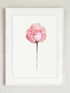 COLOR WATERCOLOR | Abstract Flower Peonies Art #1 | A4 A[gvg/|X^[y[֑ k Vv z