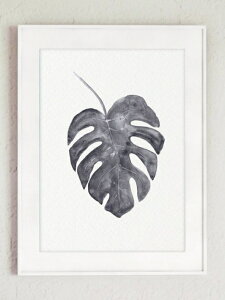 COLOR WATERCOLOR | Monstera Deliciosa Art Print #1 | A4 A[gvg/|X^[y[֑ k Vv z