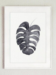 COLOR WATERCOLOR | Monstera Deliciosa Art Print #2 | A4 A[gvg/|X^[y[֑ k Vv z