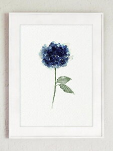 COLOR WATERCOLOR | Hydrangea Flowers Art Print #3 | A3 A[gvg/|X^[yk Vv z