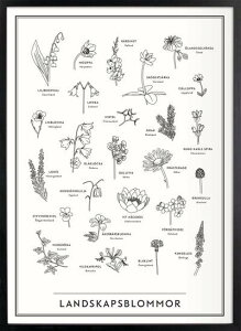 ySALE Z[zKunskapstavlan (NXJbvX^[u) | Landscape Flowers () | A[gvg/|X^[ (30x40cm)yk Vv IV CeAz