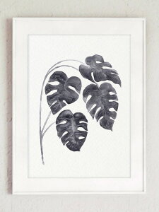 COLOR WATERCOLOR | Monstera Deliciosa Art Print #3 | A4 A[gvg/|X^[y[֑ k Vv z