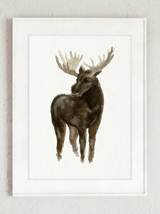 COLOR WATERCOLOR | Elk Art Print | A3 A[gvg/|X^[yk Vv z