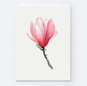 COLOR WATERCOLOR | Magnolia Art Print #2 | A3 A[gvg/|X^[yk Vv  {^jJz