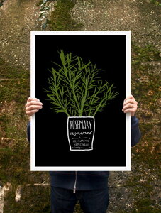 ANEK | ROSEMARY Kirchen Art Poster | A[gvg/|X^[ (50x70cm)yk JtF Xg CeA z