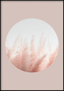 GLAM POSTERS | PAMPAS GRASS BEIGE POSTER | アートプリント/ポスター (30x40cm)【北欧 リビング インテリア】
