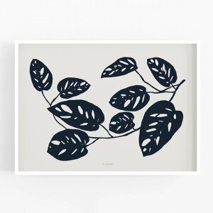 MICUSH | BOTANICAL SILHOUETTE - MONSTERA OBLIQUA ART PRINT (AP151) | A[gvg/|X^[ (30x40cm)yk Vv CeA z