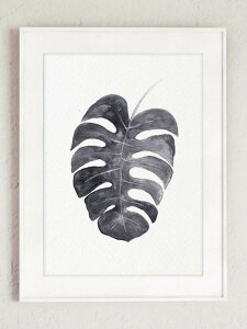 COLOR WATERCOLOR | Monstera Deliciosa Art Print #4 | A4 A[gvg/|X^[y[֑ k Vv z