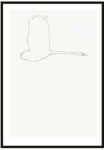 JORGEN HANSSON | Swan no.1 | �A�[�g�v�����g/�|�X�^�[ (50x70cm)�y�k�� �V���v�� �C���e���A �������z