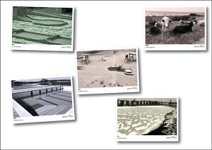 PAPER BIRDS | 5 POSTCARDS SET exclusive design by GUSTAF KJELLIN | |XgJ[h5Zbgyk ㎿220kgz