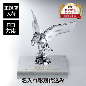 �y���K�X���ׁz�y������㍞�z�y���S�Ή��zBaccarat �o�J�� �A���y���g�[���C�[�O�� 30cm�E�嗝�� ��� �O���[ 30�p×2cm �I���W�i���Z�b�g�r�A���R�J���� ������ ���� ���� �M�t�g �L�O�i �J�X 