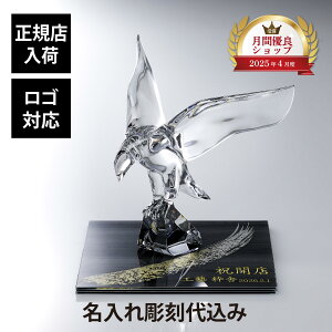 �y���K�X���ׁz�y������㍞�z�y���S�Ή��zBaccarat �o�J�� �A���y���g�[���C�[�O�� 30cm�E�ɂƍK �V���N�K���X ��� �������ʖn�` 30×30cm �I���W�i���Z�b�g������ ���� ���� �M�t�g ���O ����