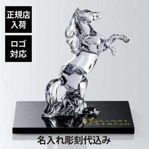 yKXׁzy㍞zySΉzBaccarat oJ }S 37.5cmE嗝  40×40×2cmTCY IWiZbg Mtg v[g O n 蕨 LOi a җ 