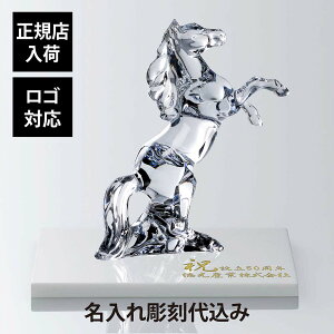 yKXׁzy㍞zySΉzBaccarat oJ }S 37.5cmE嗝  zCg 40p×2cm IWiZbg^\XzCg  Mtg v[g O n 蕨 L