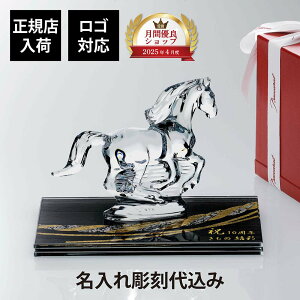 �y������㍞�z�y���S�Ή��zBaccarat �o�J�� ���x �n �N���A�E�ɂƍK ���K���X �����^�ʎ� ���n���� �� ���� ���ߓ� ��� 20×12cm �I���W�i���Z�b�g���K�X���� ������ ���� �n �I�u�W�F �V���N�K