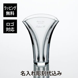 �y������㍞�݁z�y���S�Ή��z�y���K�X���b�s���O�����z�o�J�� �M���R �t�����[�x�[�X 24cm �����꒤���㍞��Baccarat GINKGO ���O ���� �M�t�g �L�O�i �a���� �z�[���C������ �����j �ԕr �L�O