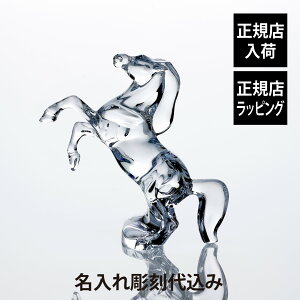 yKXׁzy㍞zBaccarat oJ ȂȂn 20.1cm Mtg v[g a LO z[C ̓ җ ސE j  j O  Ki ܕt JXj 