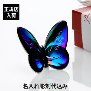�y������㍞�݁z�y���S�Ή��z�y���K�X���b�s���O�����z�o�J�� ���b�L�[�o�^�t���C �X�J���x�u���[Baccarat ������ �a���� ��j ���� ���̓� ��̓� �L�O�� �����j �z�[���C������ �L�O�i ��