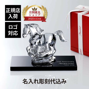 yKXׁzy㍞zySΉzBaccarat oJ x n NAE嗝  20×12cm IWiZbg Mtg v[g O 蕨 LOi a җj ސEj