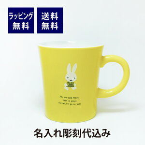 y}Ήzy㍞zybsO㍞zBruna ~btB[ J[}O ݂ɂ  Pi { O   Mtg v[g }OJbv j a LO LN^[ 