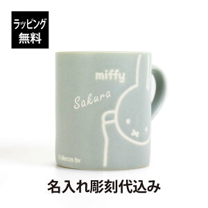 y㍞݁zybsOzmiffy friend ~btB[ th  }O ~gO[ 260ml Pi{ Z    Mtg v[g LO LOi j a 