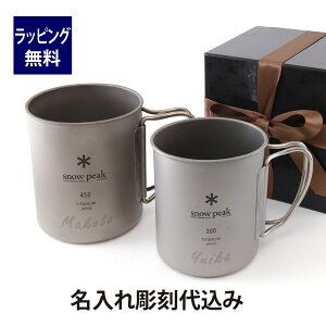 y}Ήzy㍞݁zyKXbsOzsnow peak Xm[s[N `^ VO}O 300E450 yAZbgIWiyA v[g Mtg AEghA Lv oR ނ 