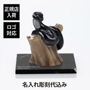 yKXׁzySΉzC Ryn[Q xtBM 2025 hXl[Nh嗝  STCY IWiZbg Mtg j v[g a LOi җ AC 