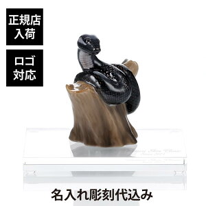 yKXׁzySΉzC Ryn[Q xtBM 2025 hXl[Nh SWAROVSKI XtXL[  LTCY IWiZbg Mtg j v[g a LO