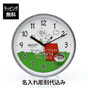 ybsOzy㍞݁zPEANUTS Xk[s[ M40 |v Vo[^bN 25cm O  v[g Mtg j LO a j LO zj Vzj LO