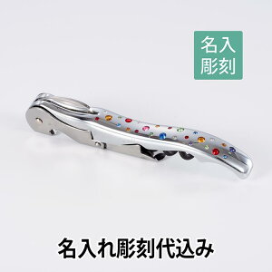 vebNX v^bvX G{[V C{[NX^ \GiCt ꒤㍞݃bsOiCt v[g NX^ O  \G \G[ C