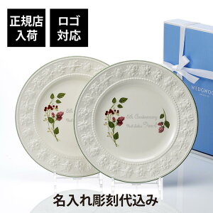 ybsOzySΉzy㍞݁zEFbWEbh WEDGWOOD tFXeBreB Yx[ v[g 27cm yA bsO KiEFJ{[h LO j EGfB