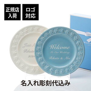 yKXׁzy㍞zySΉzWEDGWOOD EFbWEbh tFXeBreB AC{[ E u[ v[g 27cm yAO   LO j v[g Mtg LO 