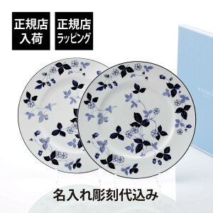 yKXׁzy㍞zWEDGWOOD EFbWEbh Xgx[ CNu[ v[g 27cm yA  j v[g Mtg LO  uh LO j JXj V