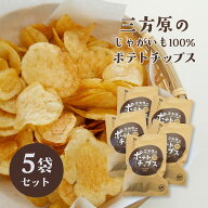 【期間・数量限定】三方原ポテトチップス うす塩味80g 5袋【三方原馬鈴薯100％使用】