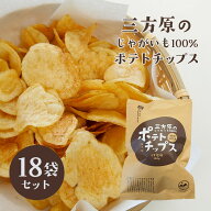 【期間・数量限定】三方原ポテトチップス うす塩味80g 18袋【三方原馬鈴薯100％使用】
