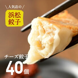 人気店の浜松餃子! とろ〜りとろけるチーズ餃子 48個 餃子 冷凍 ご家庭用 浜松ぎょうざ