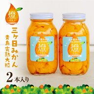 超濃厚！三ヶ日みかんシロップ漬け -燈(あかり)- 900g×2本 三ヶ日 みかん 青島 みかん 瓶詰め 母の日ギ…