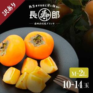 yBlk啽Yz 󂠂蒷YY`y󂠂iM`2LE10`14ʁi2.5kgjz