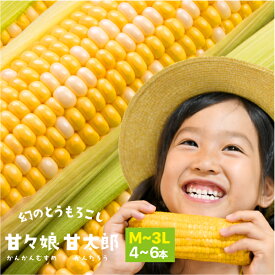 【楽天スーパーSALE 15%OFF】 静岡県産とうもろこし 甘々娘甘太郎 （かんかんむすめかんたろう） M〜3Lサイズ4〜6本入り【ご家庭用】　期間数量限定　【送料無料】バーベキュー