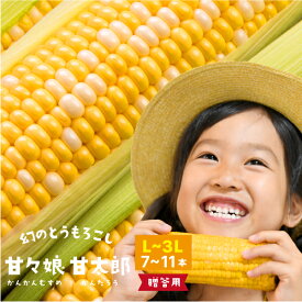 静岡県産とうもろこし 甘々娘甘太郎（かんかんむすめかんたろう）L〜3Lサイズ7〜11本【ご贈答用】期間数量限定【送料無料】バーベキュー