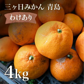 【訳あり】みかん 三ケ日濃厚熟みかん「青島」 4kg 見た目は訳ありだけど中身正真正銘の濃厚熟みかん！濃厚な甘さとほどよい酸味のバランスはそのまま！訳あり 三ヶ日みかん 青島 【送料無料】