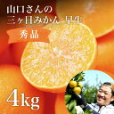 三ヶ日 みかん 早生 4kg [S〜LLミックスサイズ 秀品相当] お歳暮...
