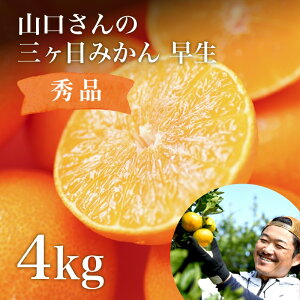 O ݂  4kg [S`LL~bNXTCY Gi] Ε OP݂ 킹݂