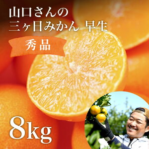 O ݂  8kg [S`LL~bNXTCY Gi] Ε OP݂ 킹݂