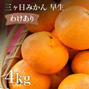 訳あり みかん 4kg 早生 三ヶ日みかん 早生みかん ワケあり