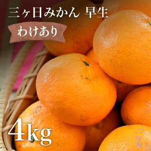 訳あり みかん 4kg 早生 三ヶ日みかん 早生みかん ワケあり