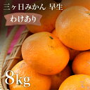 訳あり みかん 8kg 早生 三ヶ日みかん 11月下旬発送予定 三ヶ日 ...