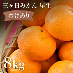 󂠂 ݂ 8kg  O݂ 11{\ O 킹݂