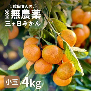 O ݂ ɑ ʓc̊S_݂  4kg y_z TCY R