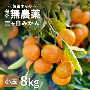 O ݂ ɑ ʓc̊S_݂  8kg y_z TCY R